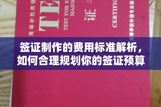 江阴签证制作的费用标准解析，如何合理规划你的签证预算